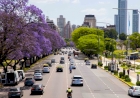 Buenos Aires florece: os planos imperdíveis para esta primavera