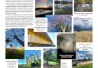 6º Concurso de Fotografias de Estação - Doze imagens foram escolhidas pela comissão julgadora