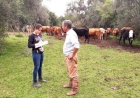 Primavera é o momento ideal para realizar o manejo estratégico e proteger o rebanho dos parasitas