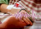 Eutanásia no Brasil: evento inédito reúne grandes nomes para debater sobre morte assistida e dilemas éticos no fim da vida