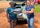 Indígenas de Charrua recebem alimentos via PAA