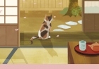 O GATO DO ADEUS, de  Hiro Arikawa. Dica de leitura da semana.