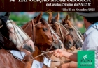 Cavalo Crioulo será destaque na Expo Erechim 2025 com provas e exposição morfológica promovidas pelo NAUCCC
