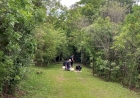 Mestrado em Ecologia da URI realiza pesquisas no Parque Fritz Plaumann