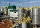Etanol de trigo: Santiago inaugura um marco para o futuro energético do Brasil