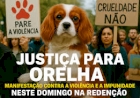 Neste domingo, Porto Alegre se une por justiça para Orelha