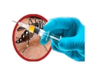 Vacinação contra a dengue de crianças e adolescentes entre dez e 14 anos é estendida a todos os municípios do Rio Grande do Sul
