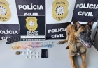 POLÍCIA PRENDE EM FLAGRANTE HOMEM DE 18 ANOS POR TRÁFICO DE ENTORPECENTES E CORRUPÇÃO DE MENORES EM ERECHIM