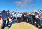 Tupanciretã sedia abertura oficial da colheita da soja no RS