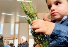 Domingo de Ramos mobiliza paróquias da Diocese de Erexim e abre a Semana Santa