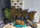 Brigada Militar apreende 30 quilos de maconha em Maximiliano de Almeida
