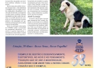 Estação 38 Anos - Município terá seu Conselho de Proteção e Bem-Estar Animal