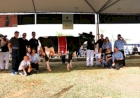 Produtores da Cooperativa Santa Clara levam animais de excelência à Fenasul Expoleite