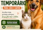 Prefeitura de Getúlio Vargas abre credenciamento para acolhimento temporário de animais vítimas de abandono e maus-tratos