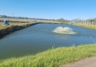 Manejo adequado no inverno é decisivo para manter produção de peixes