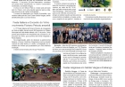 Social, por Anissara Zir. Edição de 12 de maio de 2026.