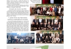 Social, por Anissara Zir. Edição de 19/6/2026.