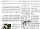 Só faltam os laudos, por Neivo A T Fabris. Edição 10/7/2026