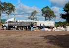 Campanha de recolhimento de embalagens de agrotóxicos reúne mais de 15 mil unidades em Ipiranga do Sul