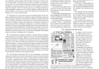 O que aprendemos? Por Neivo A T Fabris. Edição 24/7/2026