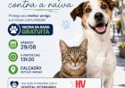 Vacinação gratuita contra a raiva no Calçadão 