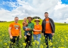 Plano Safra: Canola amplia alternativas de produção no inverno