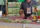 Pavilhão da Agricultura Familiar terá 509 expositores na 49ª Expointer