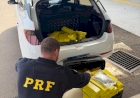 PRF apreende quase 100 quilos de maconha em Passo Fundo