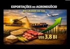 Agronegócio gaúcho dispara: exportações crescem 22% e somam US$ 3,8 bi no 2º trimestre de 2026