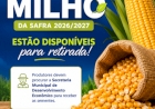 Sementes de milho da safra 2026/2027  estão disponíveis para retirada
