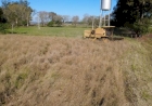 Inicia colheita da canola no Rio Grande do Sul