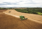 Sicredi amplia liderança em crédito rural no Rio Grande do Sul