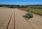 Começa colheita do trigo nas principais regiões produtoras do Rio Grande do Sul 