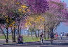 Primavera começa nesta terça, com previsão de mais chuva e temporais no Rio Grande do Sul