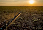 Seguro rural: novas regras ampliam cobertura e proteção ao produtor
