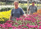 Produtores de Vale Real transformam cultivo de flores em fonte de renda e orgulho no campo