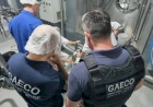 Quinze pessoas são condenadas por fraudes na produção de leite e derivados no Rio Grande do Sul