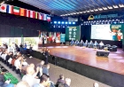 Cadeia produtiva do leite é tema de debate em Ijuí