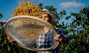Rota do Café entre Minas Gerais e São Paulo vira monumento nacional