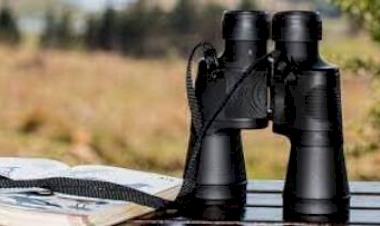 Pesquisadores acham ave quase em extinção e desaparecida há 40 anos