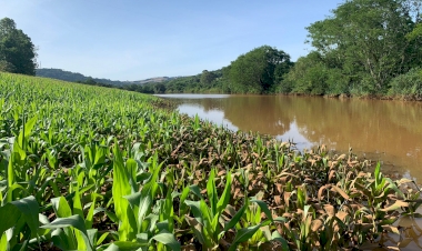 Estado divulga último levantamento do impacto das chuvas na produção rural