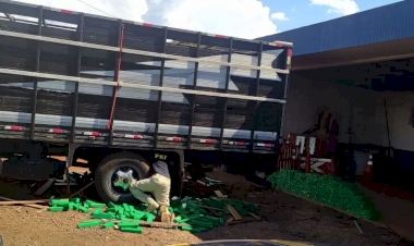 Caminhão boiadeiro transportava meia tonelada de drogas