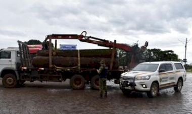 Batalhão Ambiental flagra transporte ilegal de madeira em Erechim