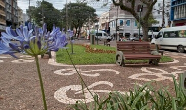 Renovação floral transforma canteiros em Erechim