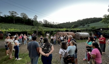 Linha Turismo Erechim oferece passeios da safra da uva