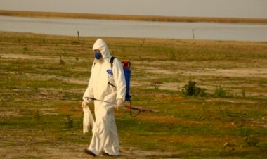 Estado está há 21 dias sem registro de mortalidade de mamíferos aquáticos por gripe aviária