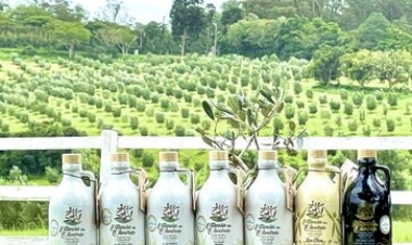 Marca de azeite de oliva gaúcha é eleita a nona agroindústria mais premiada do mundo