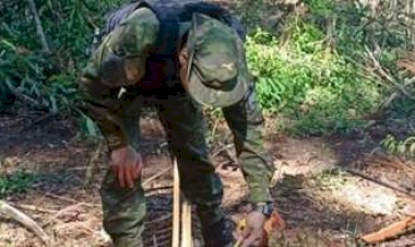 Polícia Ambiental identifica crimes no município de Água Santa
