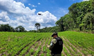 Operação do Batalhão Ambiental utiliza drones para fiscalização de desmatamento