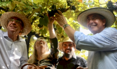 Abertura Oficial da Colheita da Uva é realizada em Bento Gonçalves